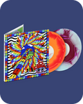 Chasing The Golden Hour Pt. 3 & Pt. 4 LP - 2 Disk Set