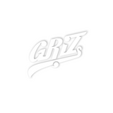 GRiZ Essentials Swoop Logo Window Decal